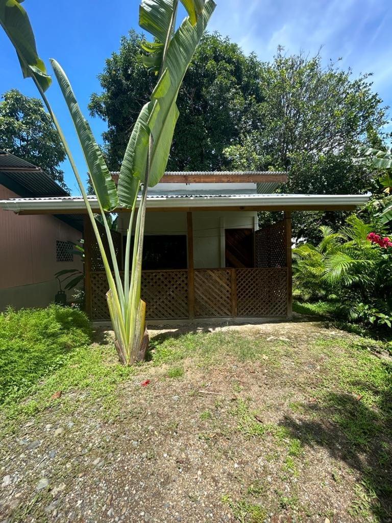 Ballena Oasis Homes Uvita Buitenkant foto